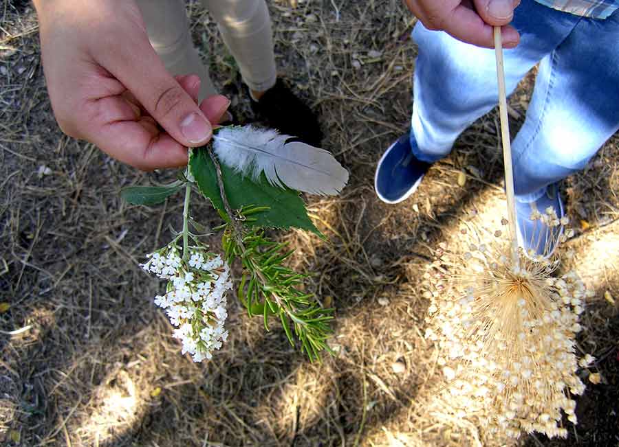 detalle de rama de romero, flor y pluma