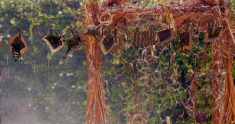 Arte y Naturaleza