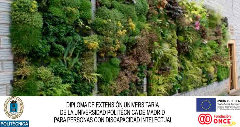 Curso universitario naturación urbana
