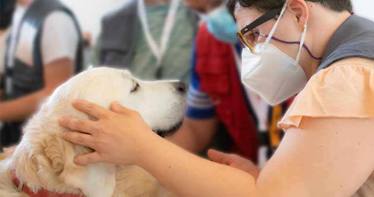 Fundación Gil Gayarre y proyecto 4 patas de apoyo. Impulsa el empleo