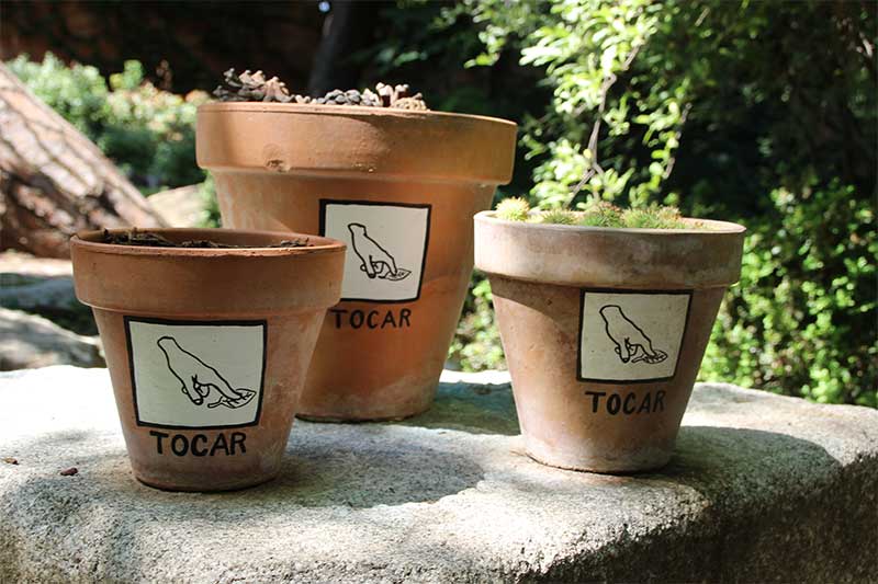 Indicaciones con pictograma para el visitante en las macetas de plantas aromáticas