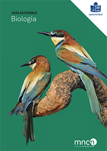 Biología y geología accesible en el Museo Nacional de Ciencias Naturales
