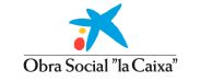 logo_caix